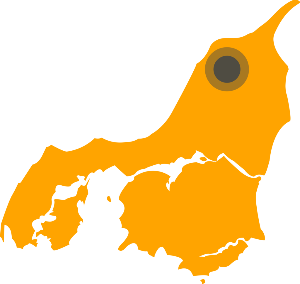 Tømrer Hjørring